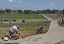 Stadion kwitnie wraz z sukcesami piłkarzy