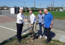 Piłkarze posadzili pamiątkowe drzewa z okazji 700-lecia Warki