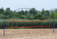 Boisko do piłki plażowej już dostępne!