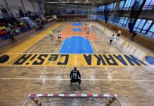 Zgłoszenia do WLH – edycja 2023/24!