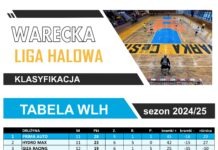 Podsumowanie niedzielnych meczów WLH