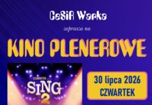 Zapraszamy na wakacyjne kino plenerowe!