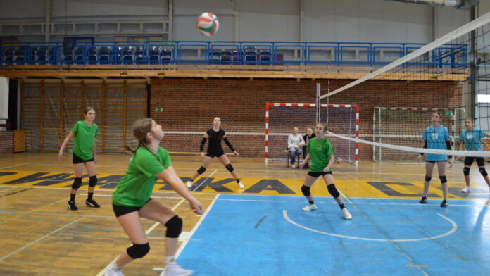DSD_0 (110)